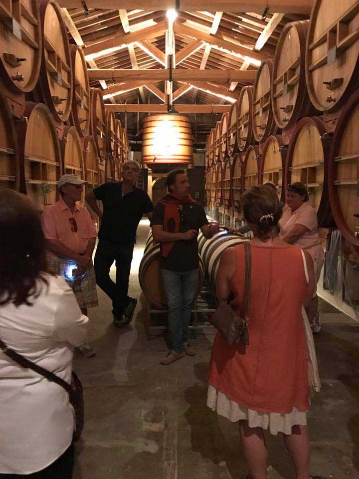 Guided visit of the cellar at Château Beaucastel during a wine tour organized by Mistral Tour.